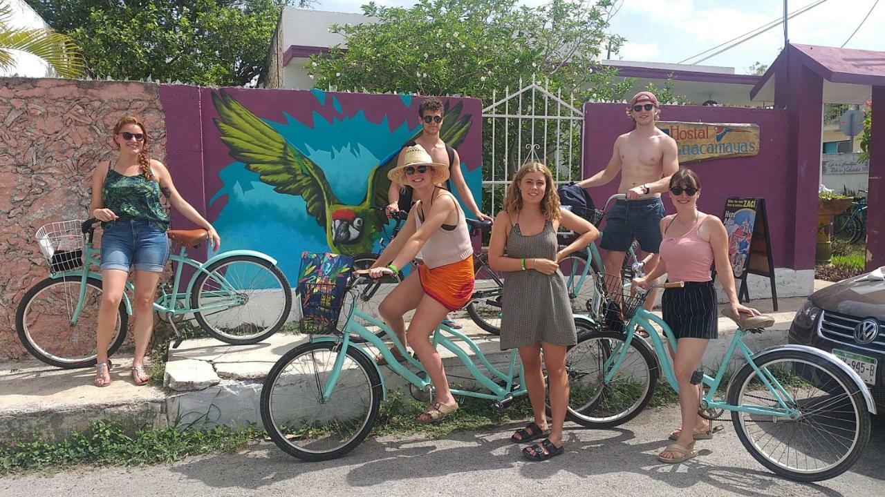 Hostel 35 Valladolid  Eksteriør billede